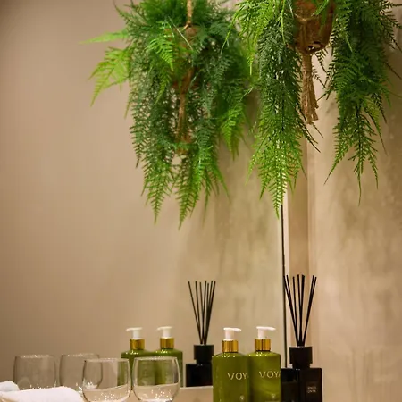 布鲁克林酒店 酒店 肯梅尔